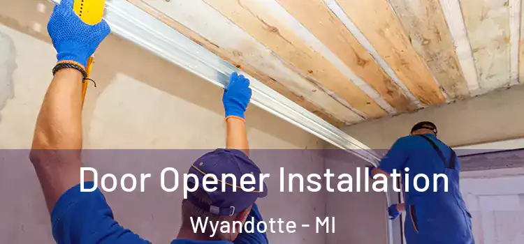  Door Opener Installation Wyandotte - MI
