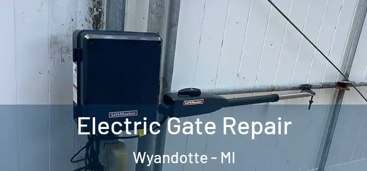 Electric Gate Repair Wyandotte - MI