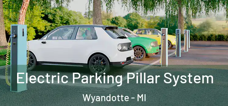  Electric Parking Pillar System Wyandotte - MI