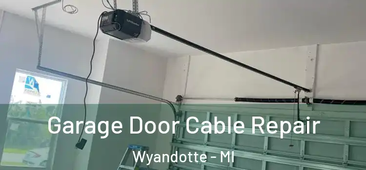  Garage Door Cable Repair Wyandotte - MI
