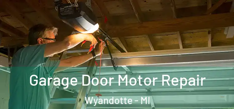  Garage Door Motor Repair Wyandotte - MI
