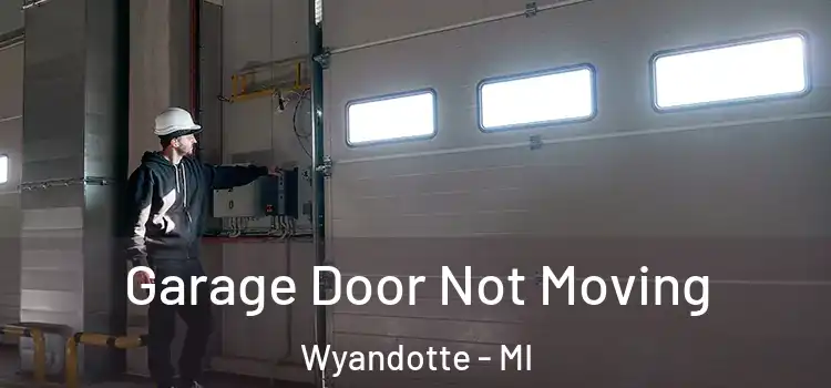  Garage Door Not Moving Wyandotte - MI