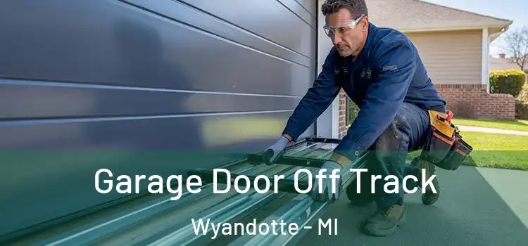  Garage Door Off Track Wyandotte - MI