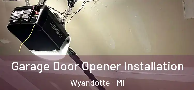  Garage Door Opener Installation Wyandotte - MI