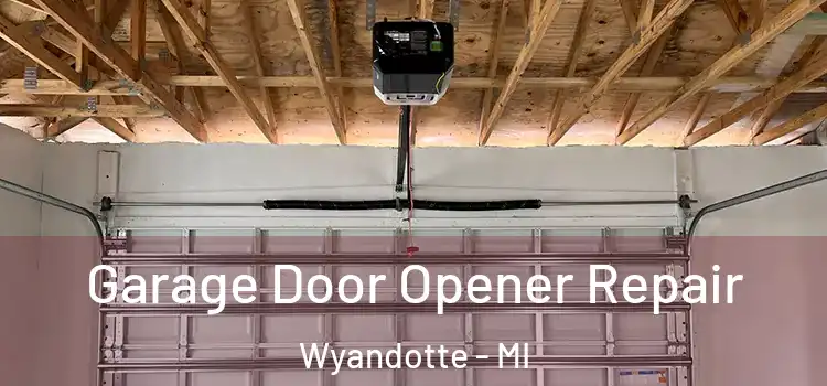  Garage Door Opener Repair Wyandotte - MI