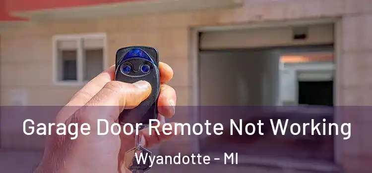  Garage Door Remote Not Working Wyandotte - MI