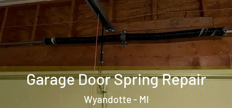  Garage Door Spring Repair Wyandotte - MI