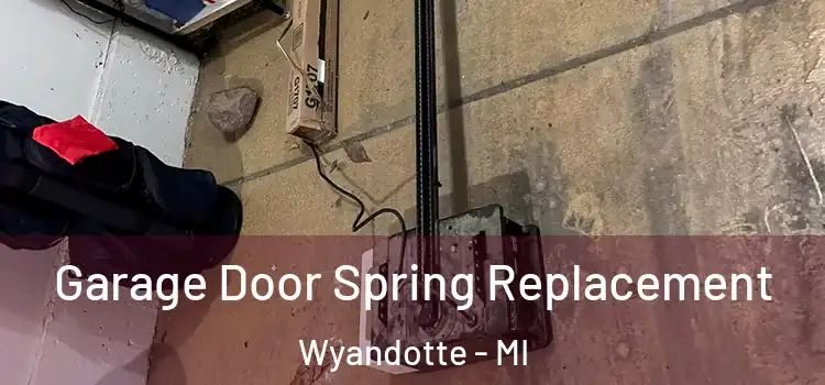  Garage Door Spring Replacement Wyandotte - MI
