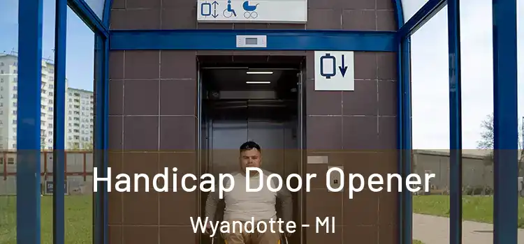  Handicap Door Opener Wyandotte - MI