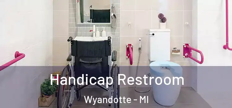 Handicap Restroom Wyandotte - MI