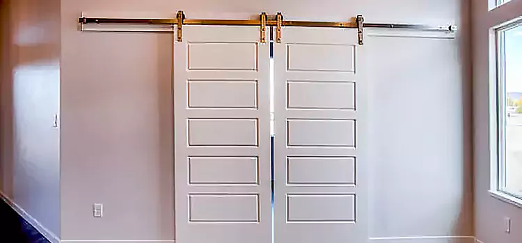 Glass Barn Door with Installation Hardware Kit Wyandotte