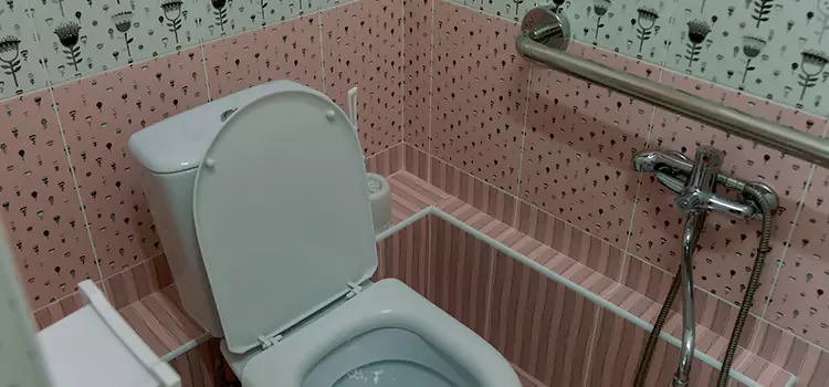 Meeting Diverse Needs With Accessible Restroom Solutions in Wyandotte, MI