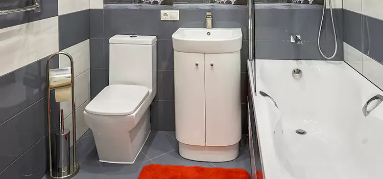 Hansgrohe Shaving Mirror Wyandotte