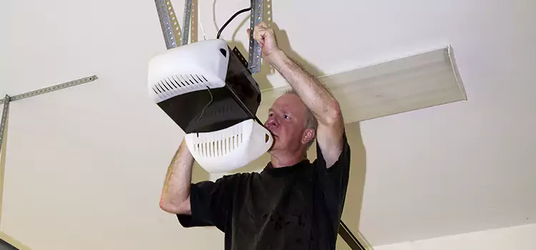 Garage Door Opener Service Wyandotte