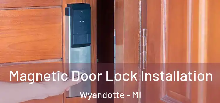  Magnetic Door Lock Installation Wyandotte - MI