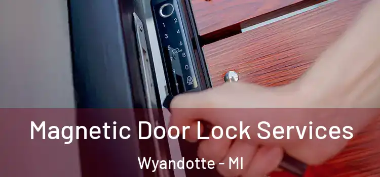  Magnetic Door Lock Services Wyandotte - MI