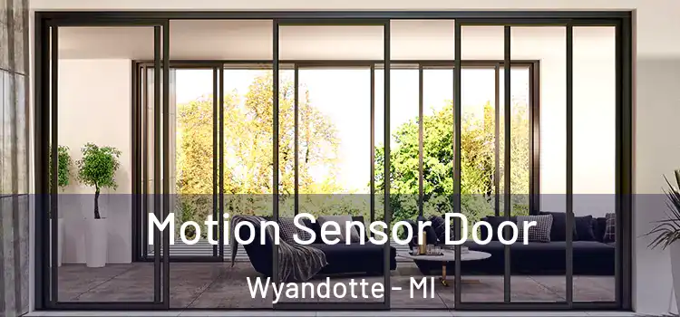  Motion Sensor Door Wyandotte - MI