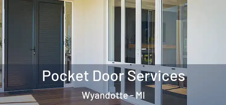 Pocket Door Services Wyandotte - MI