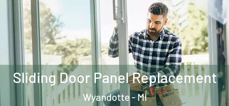  Sliding Door Panel Replacement Wyandotte - MI