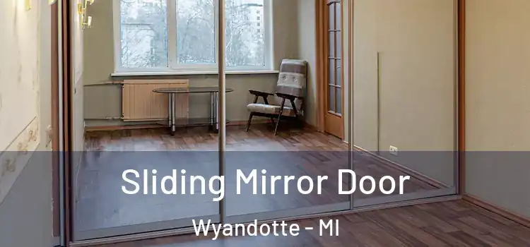  Sliding Mirror Door Wyandotte - MI