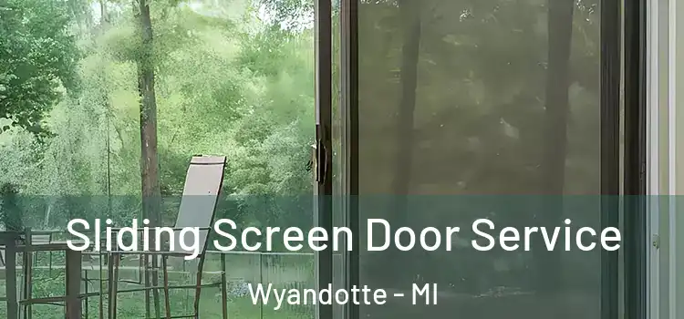  Sliding Screen Door Service Wyandotte - MI